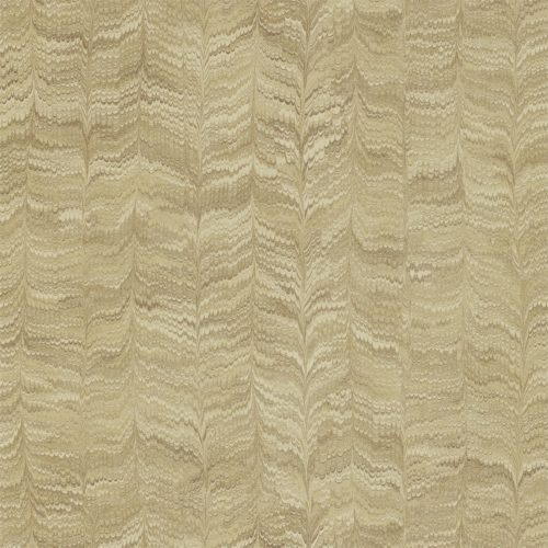 Jaipur Plain 311729